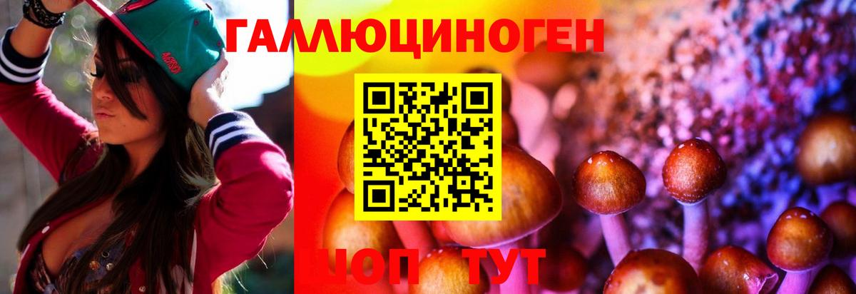 Псилоцибиновые грибы прущие грибы Каменка